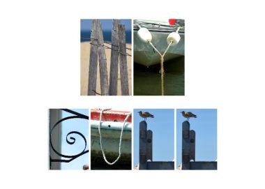 My Gull