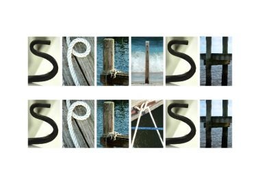 Splish Splash