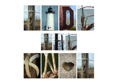 Tide The Knot