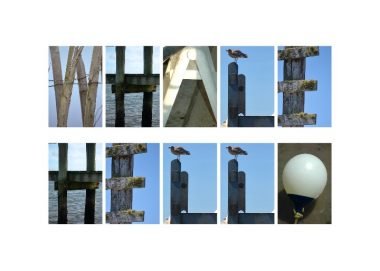 Whale Hello