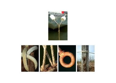 Y Knot