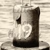 Sepia $0.00