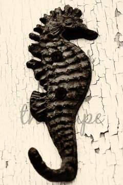  in Sepia