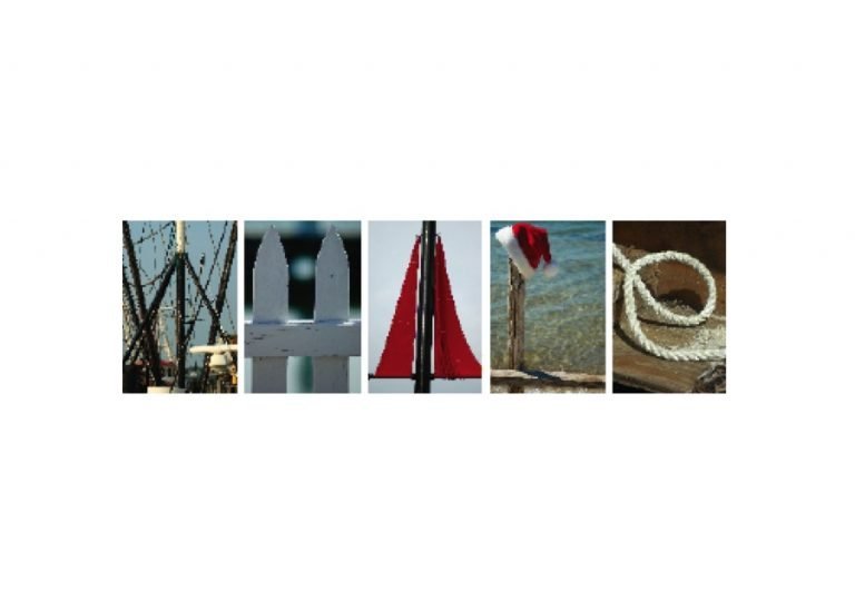 Whale