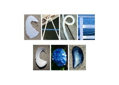 Cape Cod