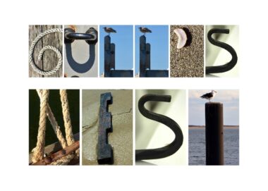 Gull's Nest
